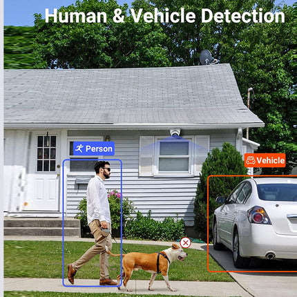 Person and vehicle detection on a residential scene with a house, person, dog, and car.