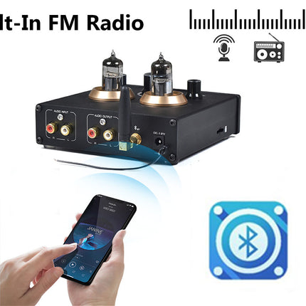Audio equipment with Bluetooth and FM radio features, including a smartphone app interface.