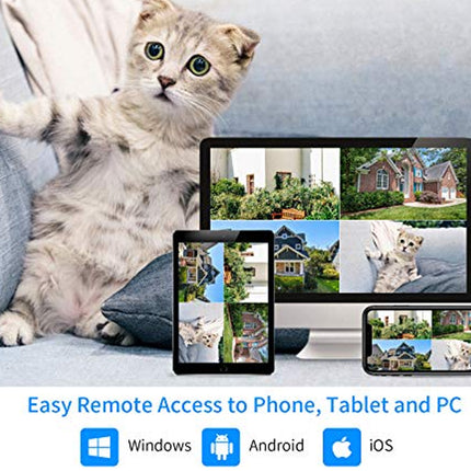 A gray tabby kitten sits on a blue couch beside a computer monitor, tablet, and smartphone displaying remote home photos. Text at the bottom reads 'Easy Remote Access to Phone, Tablet and PC' with Windows, Android, and iOS logos.