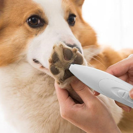 Person using a pet nail trimmer on a dog's paw with a white background