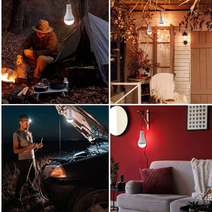 Solar Lights | NZ Sale