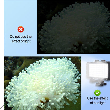 A product comparison graphic showing an anemone under different lighting conditions. The top panel shows the anemone dim and dark, with text reading 'Do not use the effect of light.