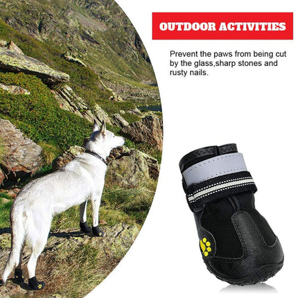 Dog Shoes | NZ Sale