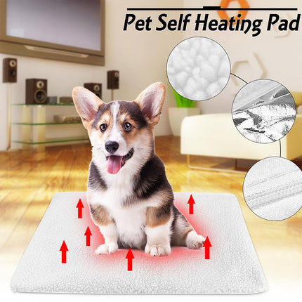 Pet self-heating pad with a dog on top in a living room setting, showing close-ups of the product.