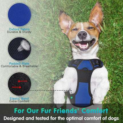 Dog Harness Medium |  NZ Sale