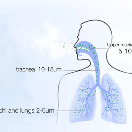 Diagram of a human respiratory system with labeled air particle sizes