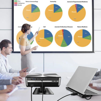 A projector screen displays colorful pie charts and graphs during a presentation, with a woman standing at the screen and several men seated around a table with laptops in a modern office setting.
