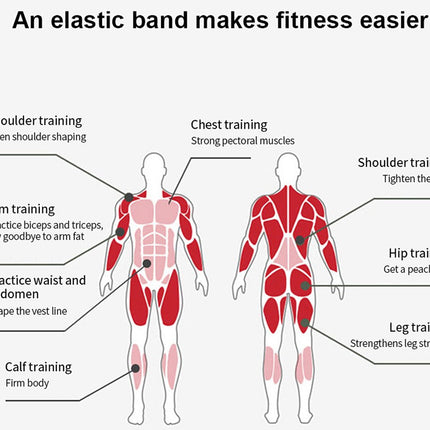Heavy Duty Resistance Bands Set |  NZ Sale