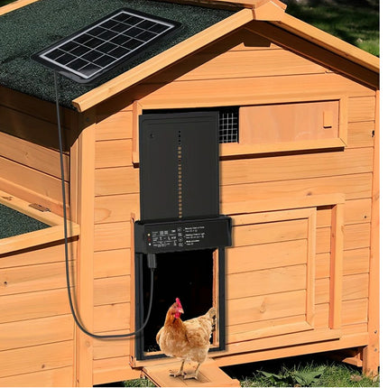 Wooden chicken coop with a solar panel on the roof and a chicken exiting the door.