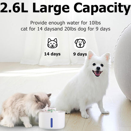 Pet water dispenser with text indicating capacity for cats and dogs, featuring a white dog and cat on a light wood floor.