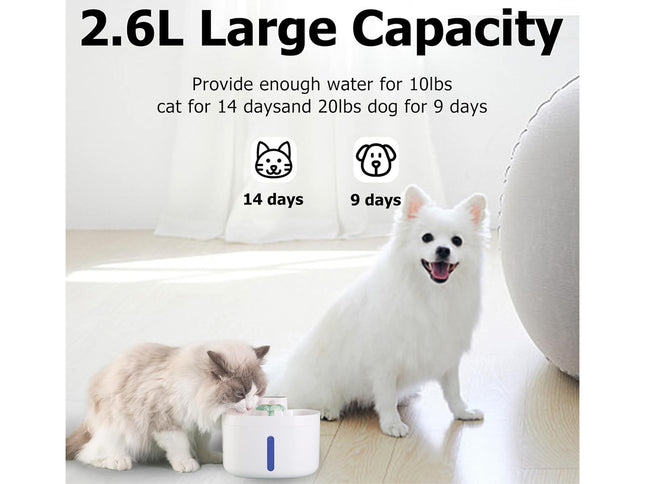 Pet water dispenser with text indicating capacity for cats and dogs, featuring a white dog and cat on a light wood floor.
