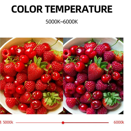 Portable LED Video Light RGB | NZ Sale