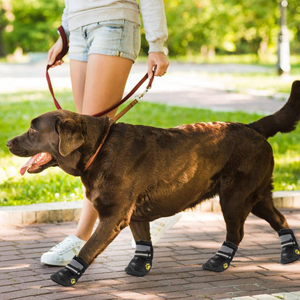 Dog Shoes | NZ Sale