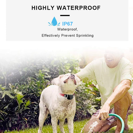 Person washing a dog outdoors with text about the product's waterproof rating.