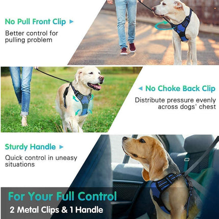 Dog Harness Medium |  NZ Sale