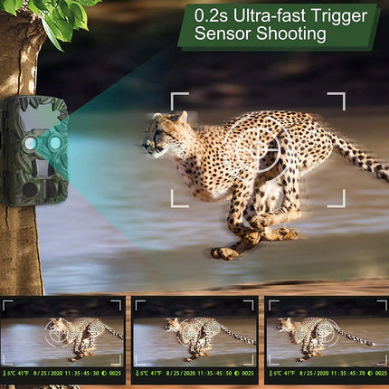 Camera trap with cheetah capture and sensor shooting features displayed.