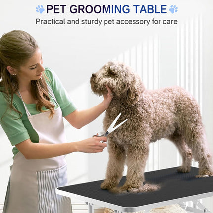Woman grooming a dog on a pet grooming table with scissors.