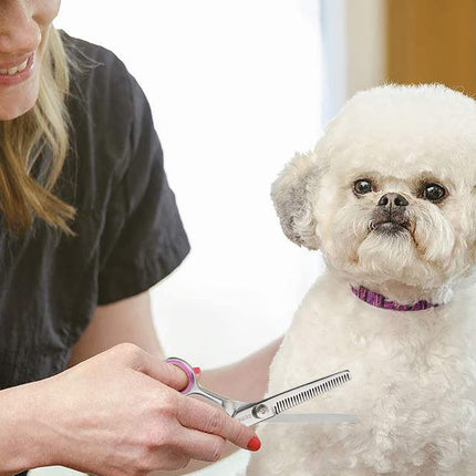 Dog Grooming Kit | NZ Sale