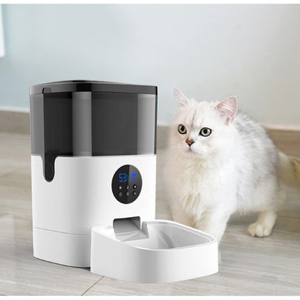 White and black pet water fountain with a cat sitting next to it on a wooden floor.