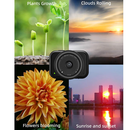Camera with images of plants, clouds, flowers, and sunrise/sunset displayed around it.