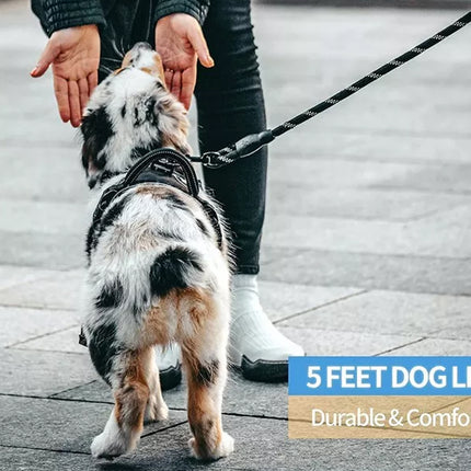 Dog on a leash being walked by a person on a sidewalk, with text about a 5-foot dog leash.