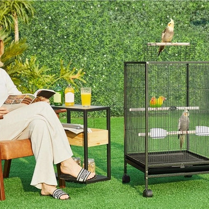 Woman reading a book next to a birdcage with a parrot on a grassy background
