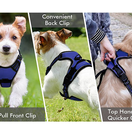 Dog Harness Medium |  NZ Sale