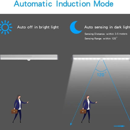 LED Lights