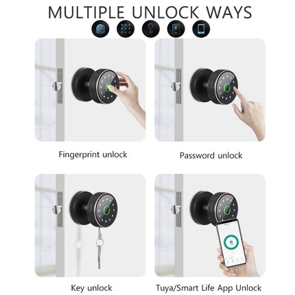 Lock with multiple unlock methods including fingerprint, password, key, and app on a white background.