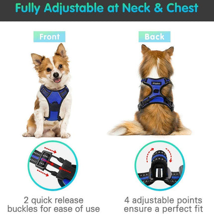 Dog Harness Medium |  NZ Sale