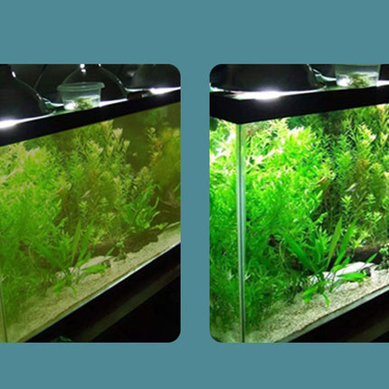 Two aquariums with green plants and lighting on a blue background