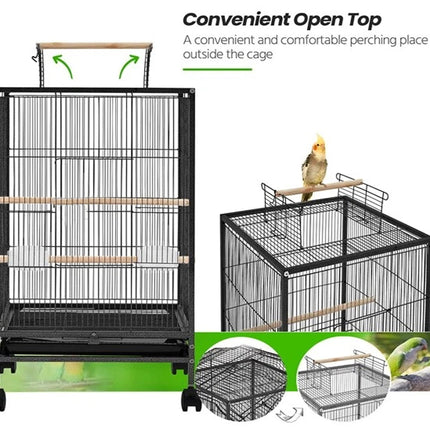 Bird cage with an open top perching area on a white background