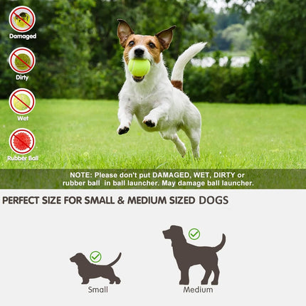 Dog playing with a ball in a grassy area, with product usage instructions and size guidelines displayed.