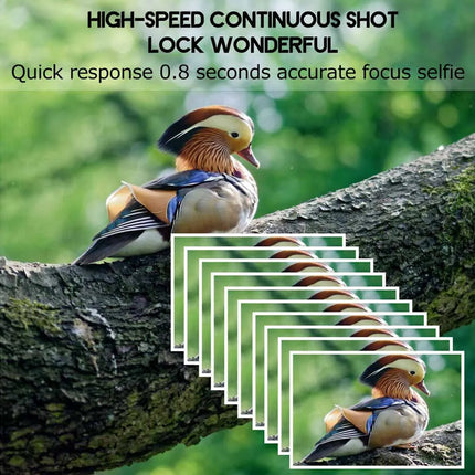 Bird perched on a branch with camera feature text overlay