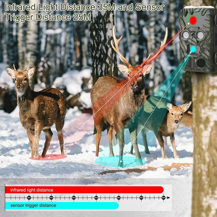 Deer in a snowy forest with an infrared light distance sensor and camera.