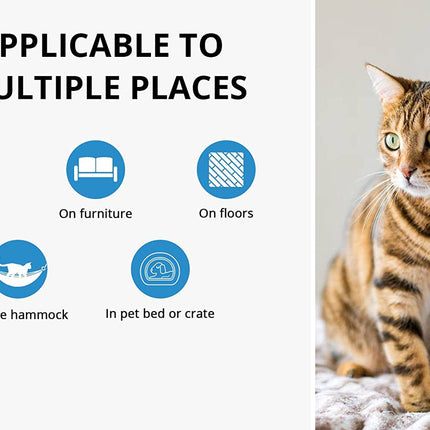 Cat sitting on a surface with text indicating applicability to multiple places.