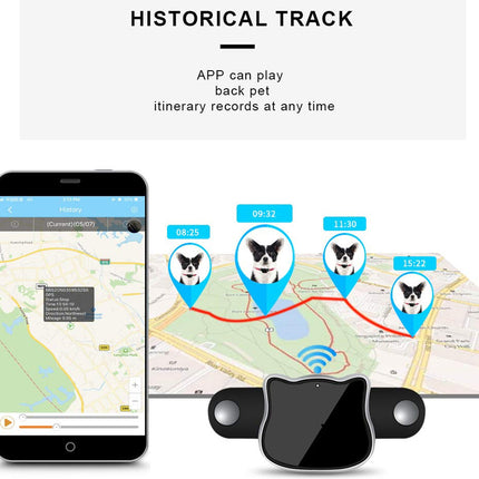 Smart pet tracker with smartphone app displaying a map and tracking history.