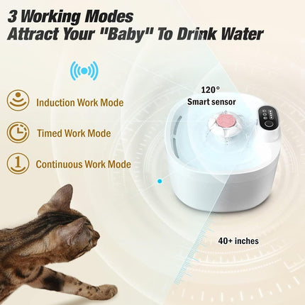 Pet water fountain with a cat and text about working modes on a beige background
