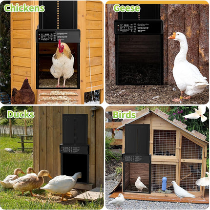 Collage of different bird habitats with labels for chickens, geese, ducks, and birds.