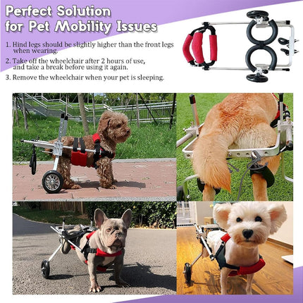 Pet wheelchair solution for mobility issues with images of dogs using the wheelchairs.