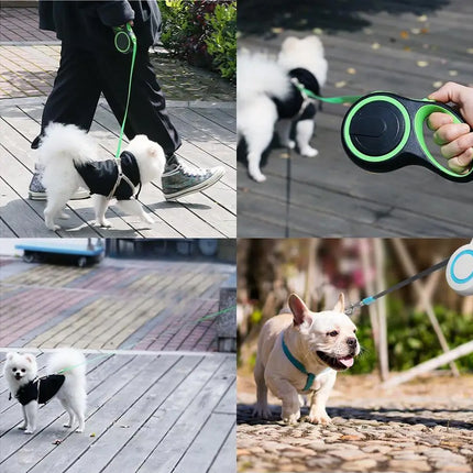 Retractable Dog Lead | NZ Sale