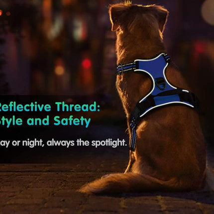Dog Harness Medium |  NZ Sale