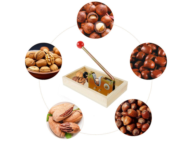 Box of assorted nuts with close-up images of different types of nuts on a white background