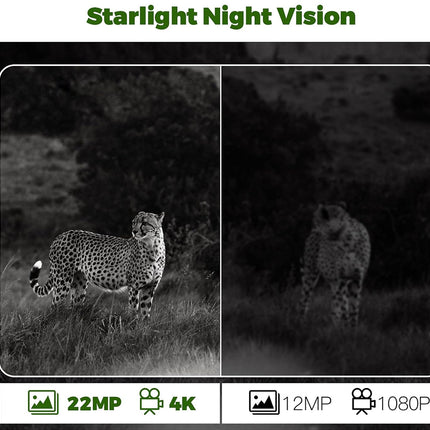 Starlight night vision comparison of a cheetah in two different camera resolutions.