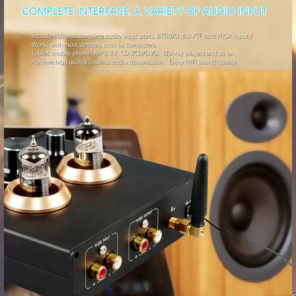 Audio amplifier with vacuum tubes and speaker on a blurred background