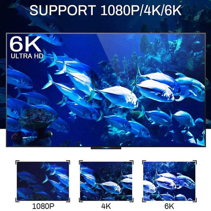 TV screen displaying an underwater scene with fish, highlighting 1080P, 4K, and 6K resolution support.