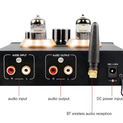 Back panel of an audio amplifier with labeled inputs and outputs on a white background
