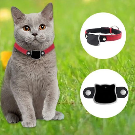 Cat wearing a red collar with close-up insets on a green grass background