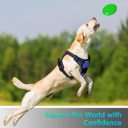 Dog Harness Medium |  NZ Sale