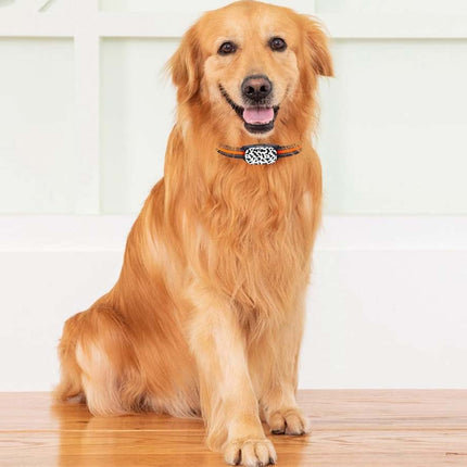 4G Pet Dog GPS Tracker Collar - Real-Time Tracking with Electronic Fence | IP67 Waterproof, 180-Day History, SOS Button, For Small & Large Dogs